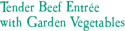 Tender Beef Entrée with Garden Vegetables