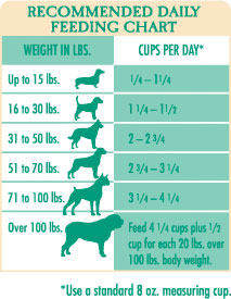 Recommended Daily Feeding Chart